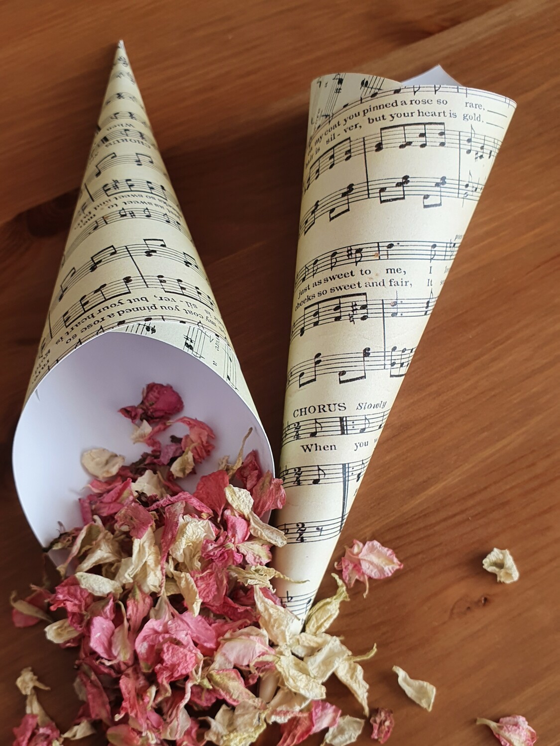 Musical Cones